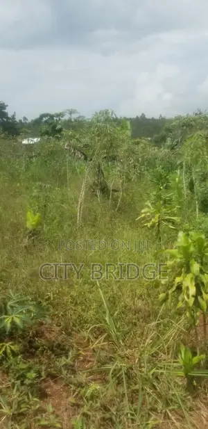 50*50 Plot for Sale