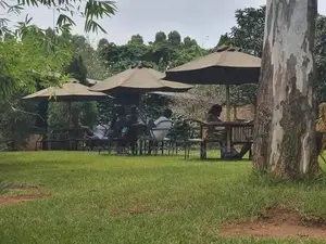 Garden Umbrella