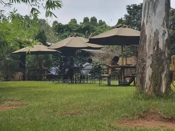 Garden Umbrella