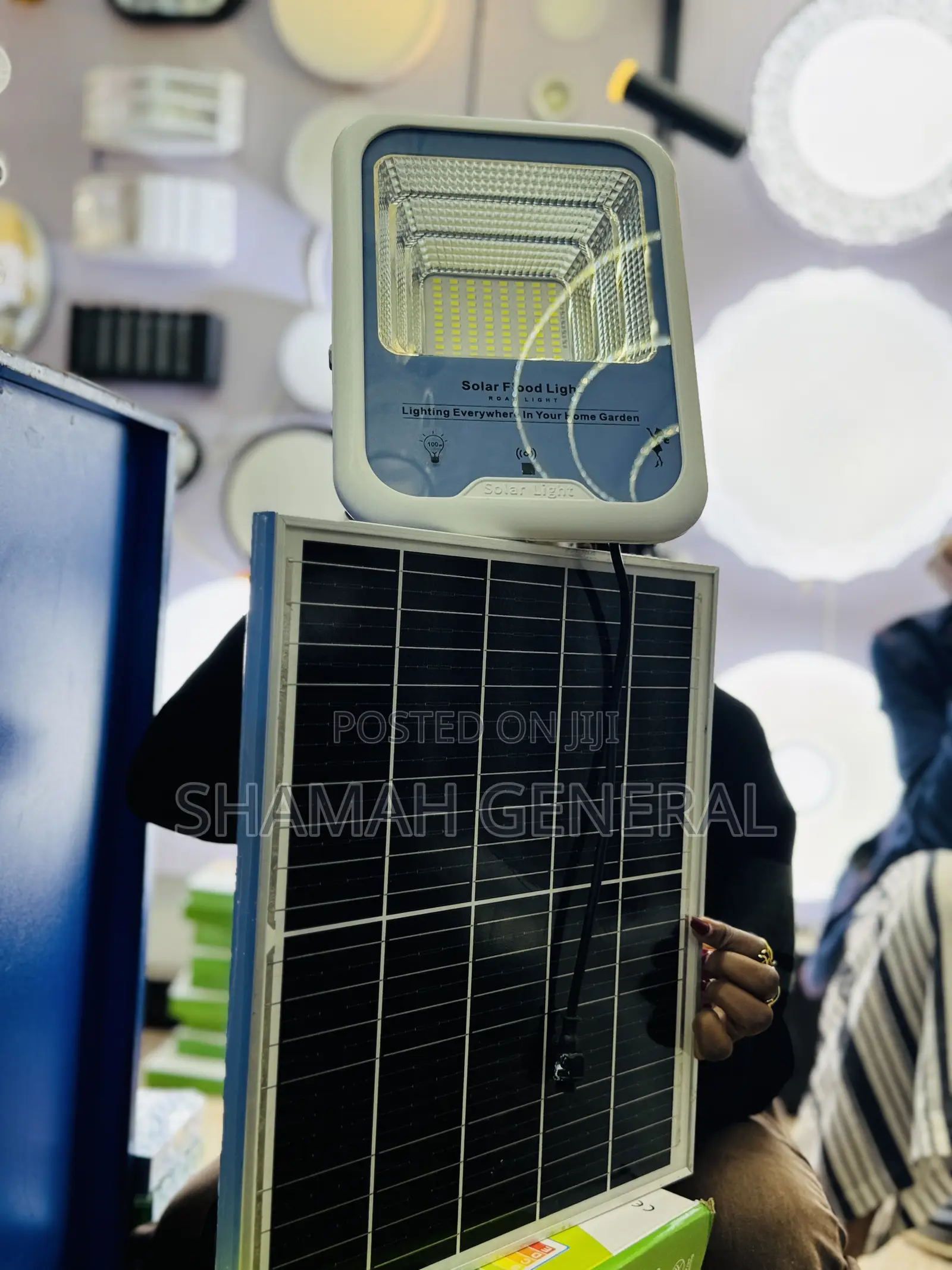 Blue Carbon Solar Lights
