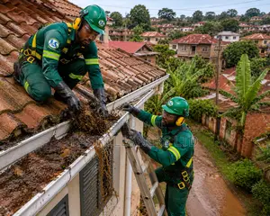 Gutters and Drainage Cleaning
