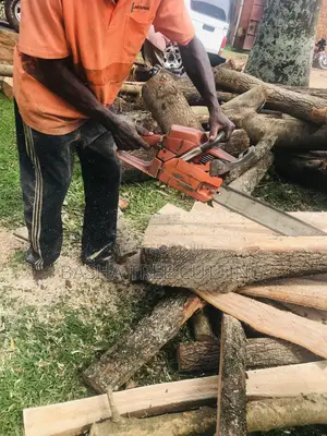 Cutting Trees And Trimming Branches