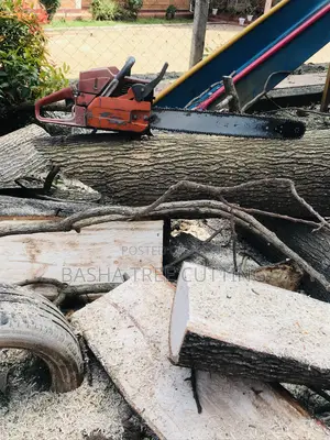 Cutting Down Trees and Clearing