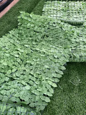 Home Privacy Plants Per Bunch