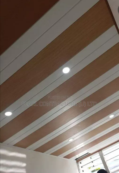 Classy Ceiling Installation