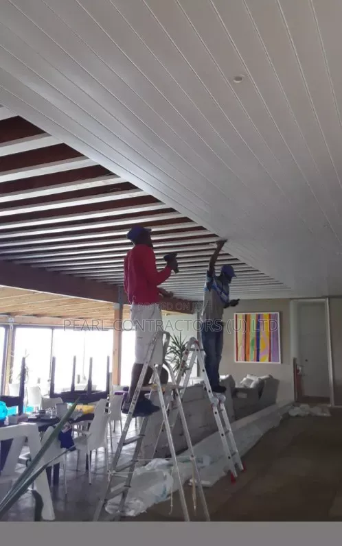 Classy Ceiling Installation