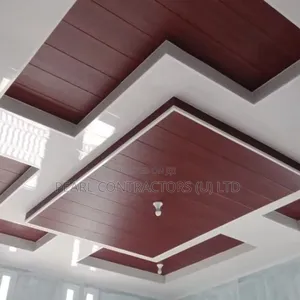 Classy Ceiling Installation