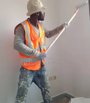 Professional Painting