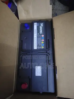 Din100 Efb Sebang Battery With Start and Stop Function