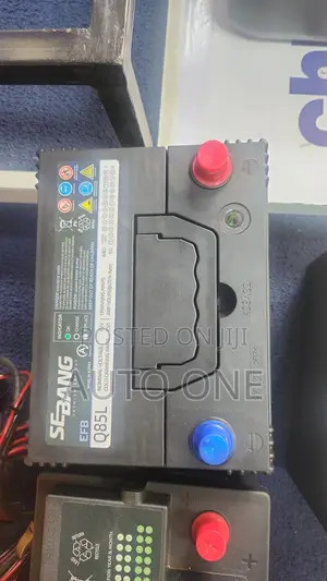 N65 Efb Sebang Battery With Start and Stop Technology