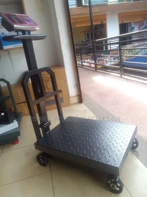 Accurate Weigh Kitchen Weighing Scale For Home Weigh Scale 600kg/10g