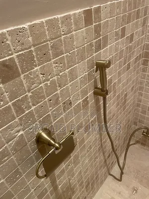 Plumbing Services T.P Holders and Shataf/Handheld Sprayer