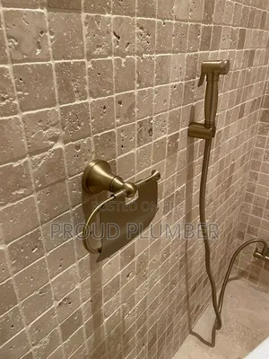 Plumbing Services T.P Holders and Shataf/Handheld Sprayer