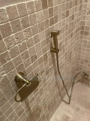 Plumbing Services T.P Holders and Shataf/Handheld Sprayer