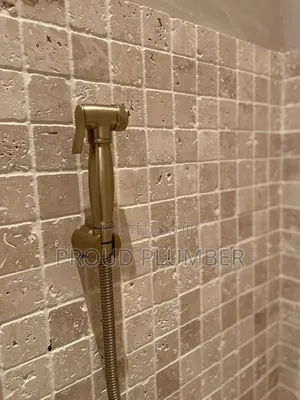 Plumbing Services T.P Holders and Shataf/Handheld Sprayer