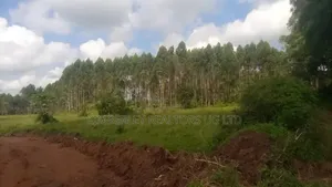 Plot For Sale 2acres In Mukono