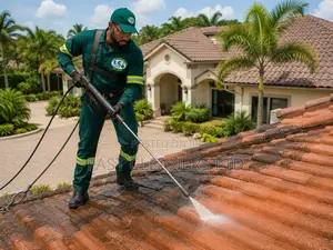 Roof Tile Cleaning
