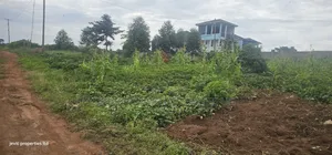 Lake View Plots for Sale at Garuga Along Entebbe Road