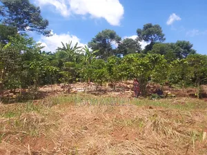Affordable Land