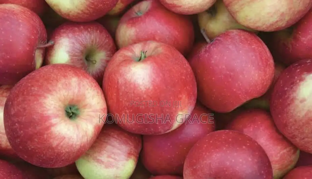 Fresh Apples