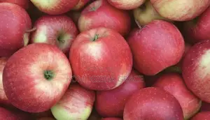 Fresh Apples