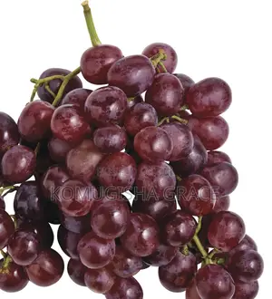 Fresh Grapes
