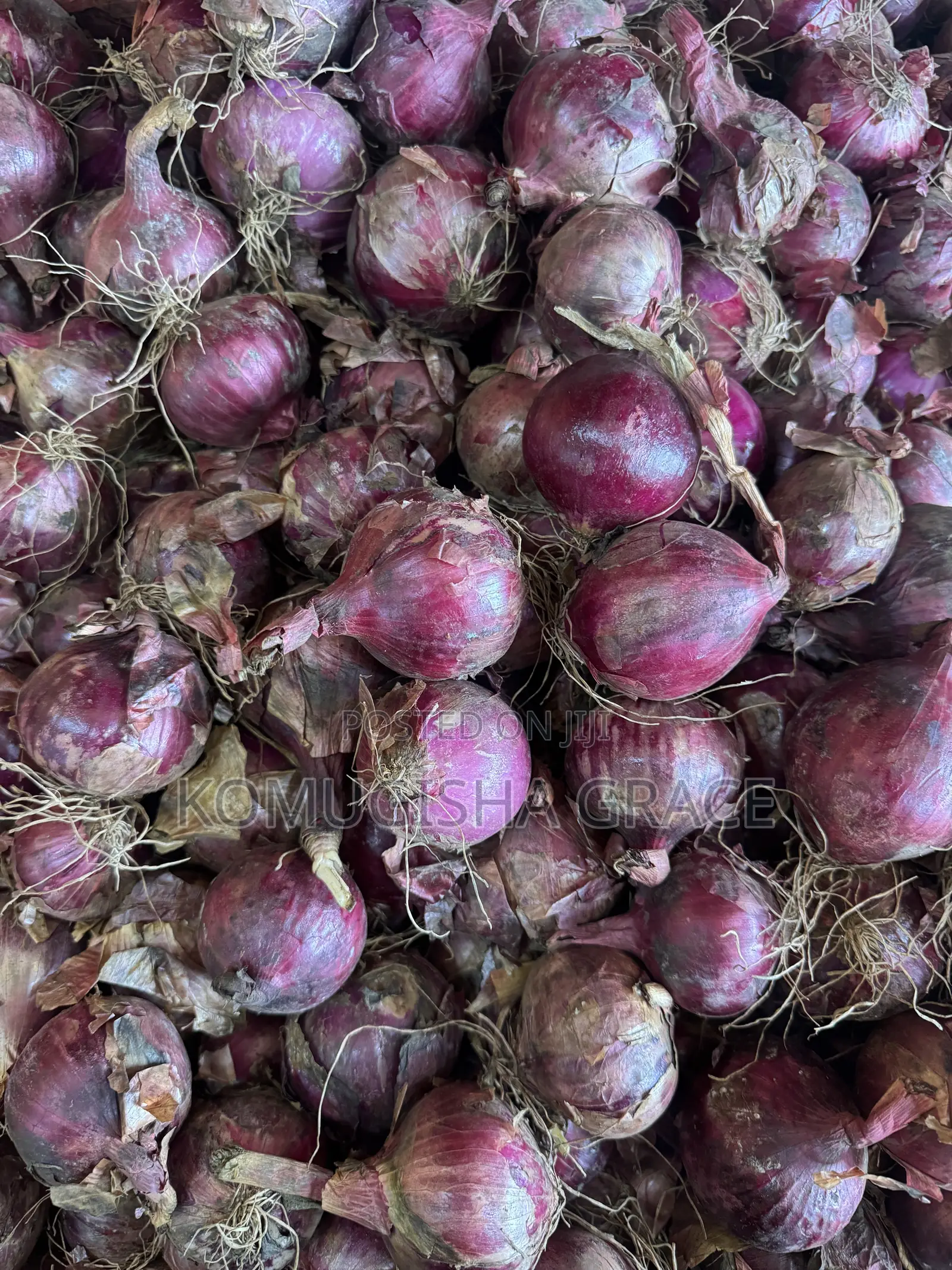 Dry Onions