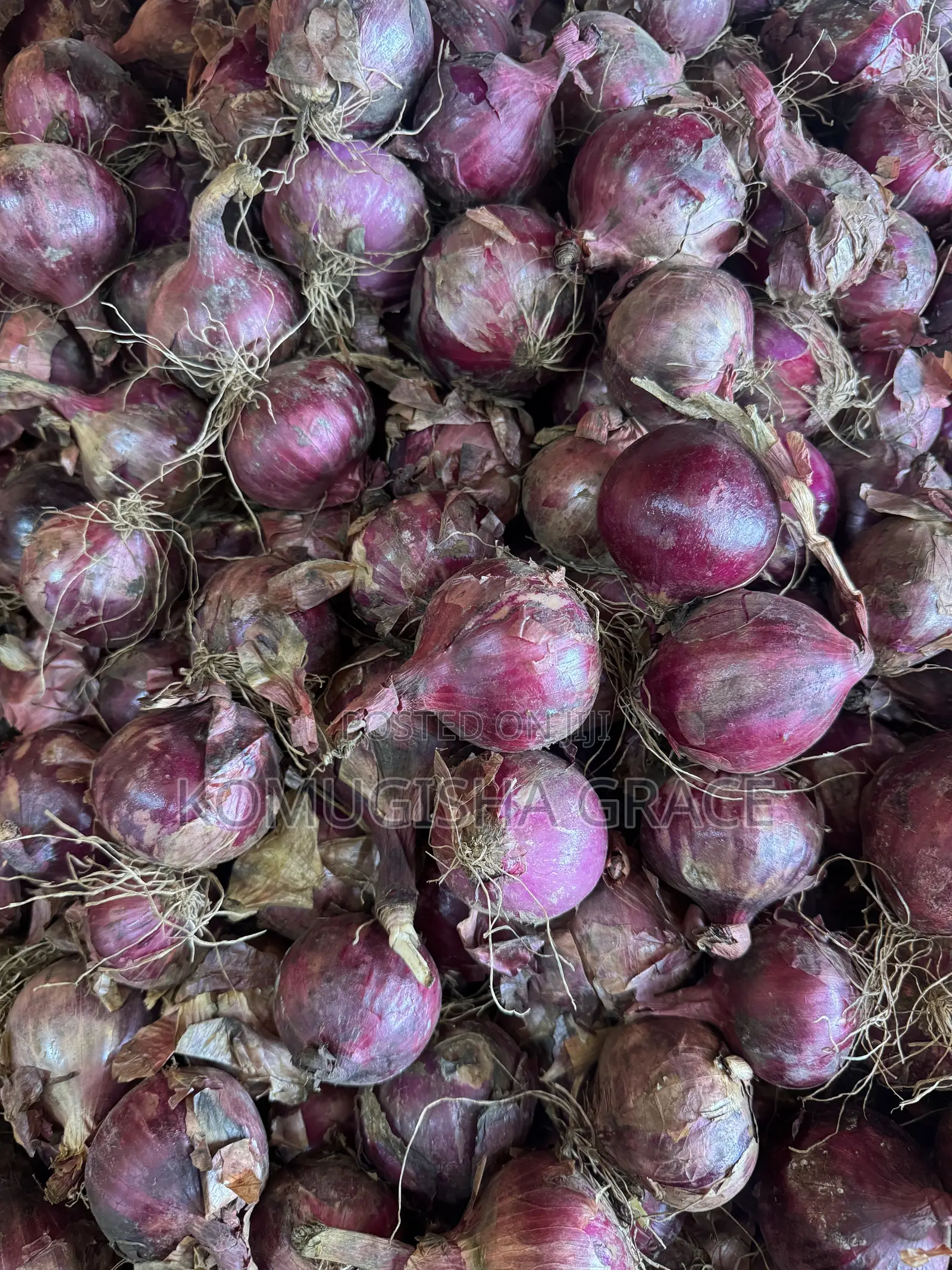 Dry Onions
