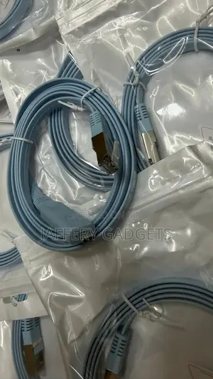 Type C to Ethernet Cable