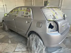 Super Car Spraying Services