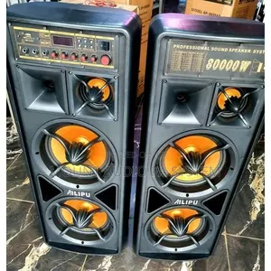 Professional Sound System Speaker