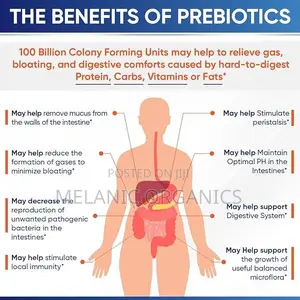 Probiotics 60 Capsules