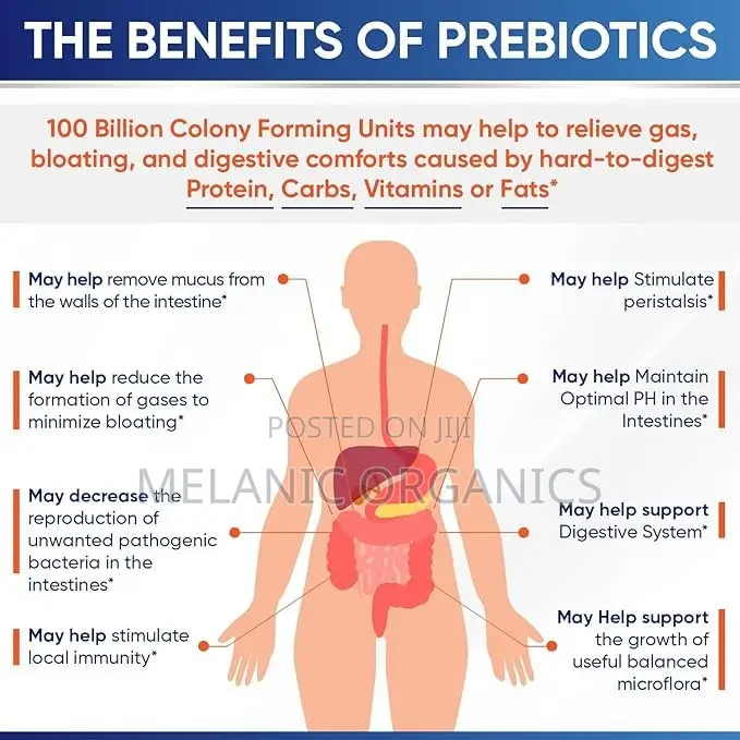 Probiotics 60 Capsules