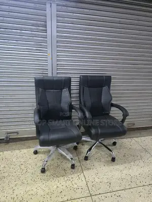 Combo 2pcs Executive Office Chairs Office Chairs