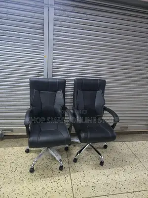 Combo 2pcs Executive Office Chairs Office Chairs
