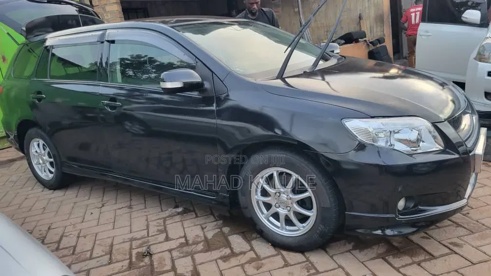 Toyota Corolla Fielder 2009 Black