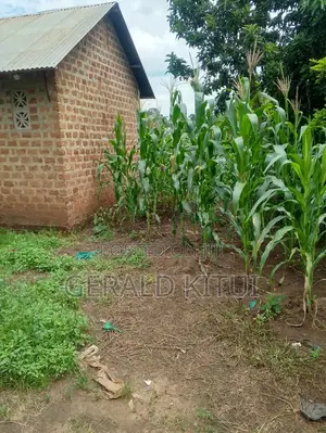 Plot for Sale in Mukono Plus a 2 Roomed House as You Can See