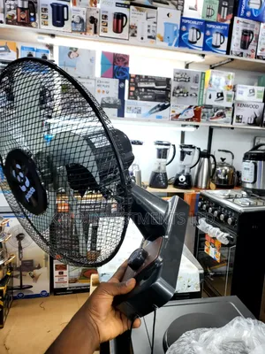 Panda Wall Fan 16 Inch