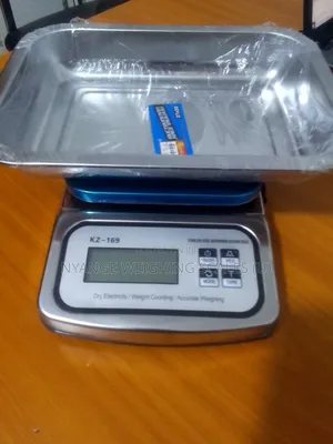 Best Price Of Weigh Scale Waterproof Weighing Scales 10kg [13]