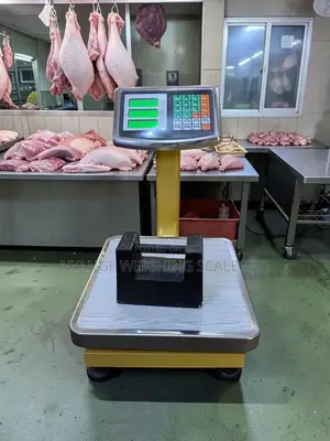 Digital Weighing Scale Weigh Food Shop Electronic Weighing Scale