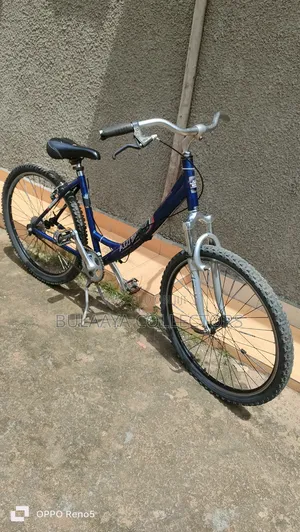 Germany Used Diamondback Serene Classic Unisex Comfort Bike.