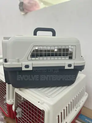 Petmate Sky Kennel for Air and Travel Airline Compliant Dog Crate
