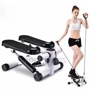 Mini Stepper Exercise Machine