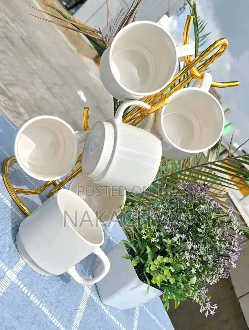 6 Pieces of Tea Mugs