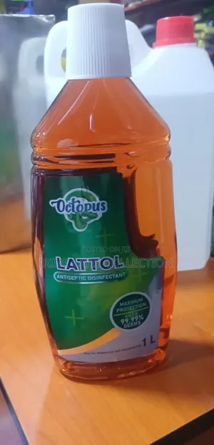 Octopus Lattol Antiseptic Disinfectant.