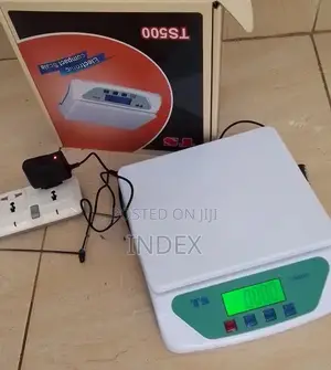 Table Top Weighing Scale Ts:30kg/1g Weigh Digital Weighing Scale