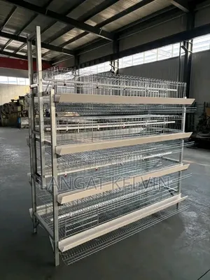 Good Quality H Type Poultry Cage 160 Birds Capacity for Sale