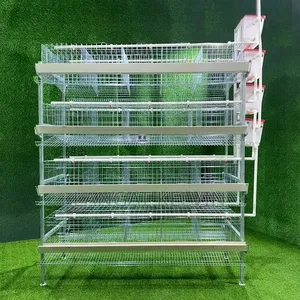 Brand New H Type Poultry Cage 160 Birds Capacity for Sale