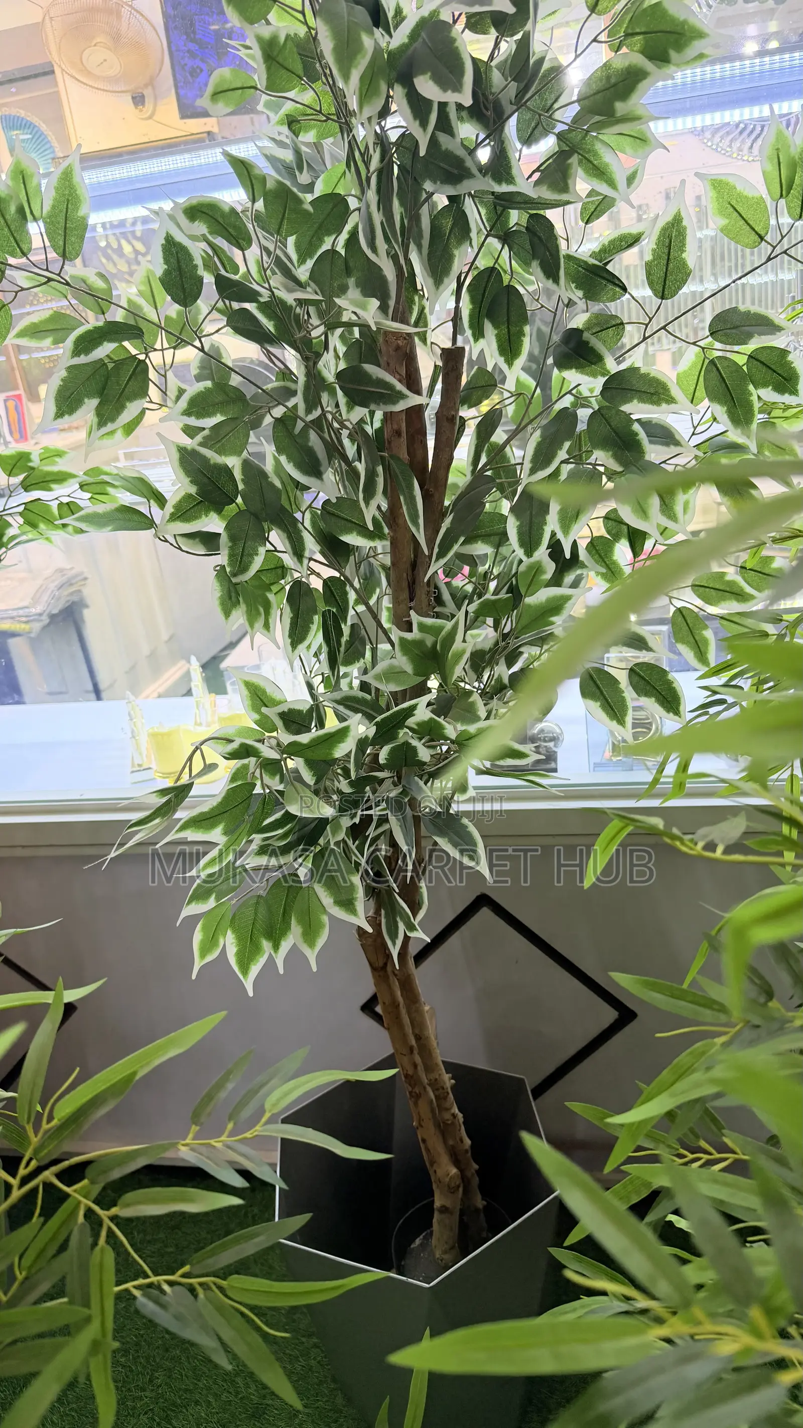 Premium Artificial Ficus Tree – Elegant Indoor Decoration