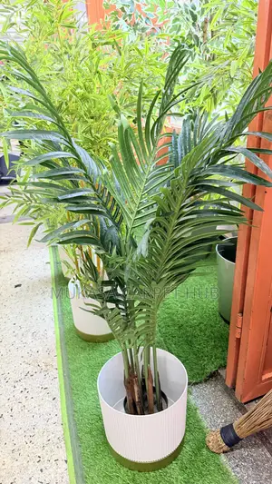 Artificial Palm Tree – Tropical Indoor Outdoor Decoration